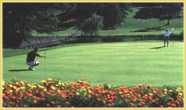 Bass River Golf Club in Yarmouth
