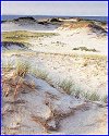 Sandy Neck