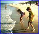 LeCount's Hollow beach in Wellfleet