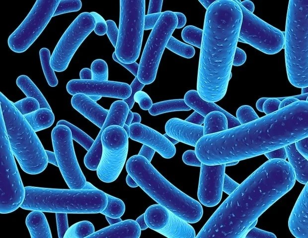 Revolutionary 'Recipe Book' for Reprogramming Immune Cells to Fight Cancer & Autoimmune Diseases (2026)